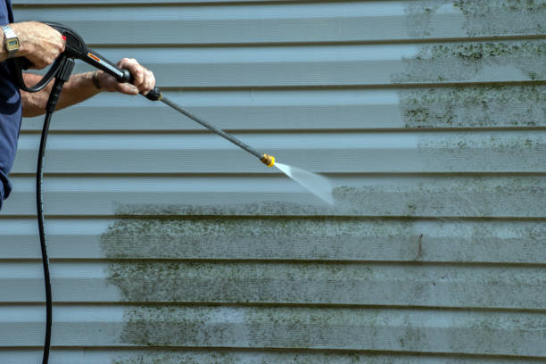 Best Affordable Power Washing  in Oceana, WV